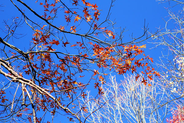 Blue Ridge, Georgia Fall Weekend Getaway. Hiking, Cabins & Waterfalls.