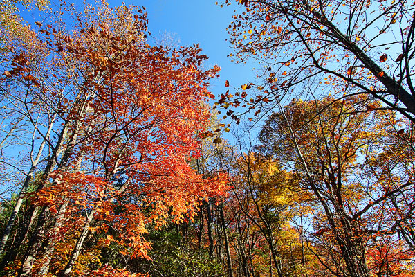 Blue Ridge, Georgia Fall Weekend Getaway. Hiking, Cabins & Waterfalls.