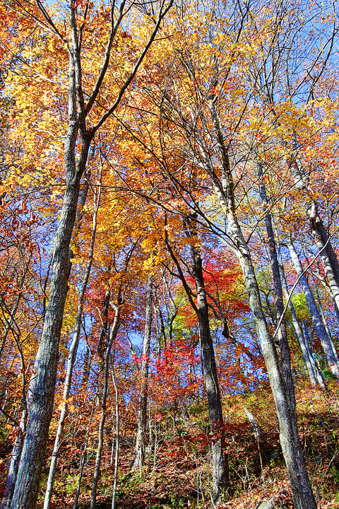 Blue Ridge, Georgia Fall Weekend Getaway. Hiking, Cabins & Waterfalls.