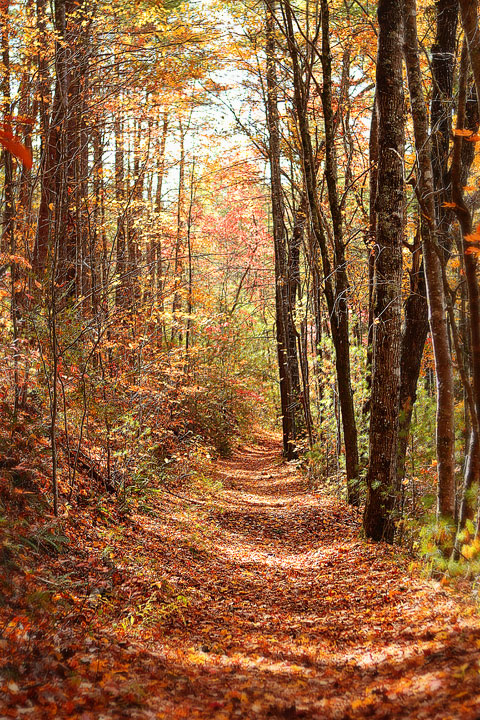 Blue Ridge, Georgia Fall Weekend Getaway. Hiking, Cabins & Waterfalls.