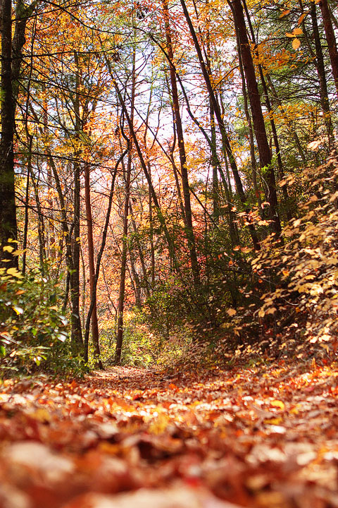 Blue Ridge, Georgia Fall Weekend Getaway. Hiking, Cabins & Waterfalls.