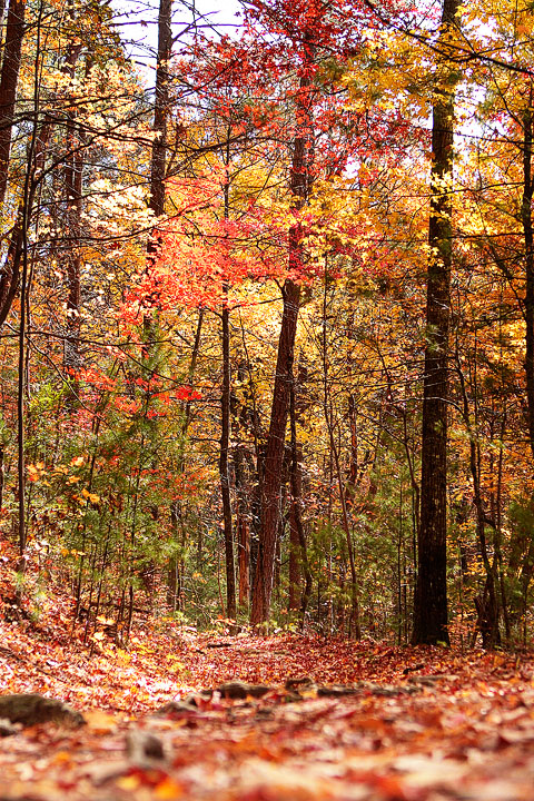 Blue Ridge, Georgia Fall Weekend Getaway. Hiking, Cabins & Waterfalls.