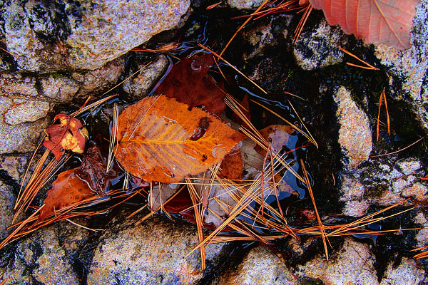 Blue Ridge, Georgia Fall Weekend Getaway. Hiking, Cabins & Waterfalls.