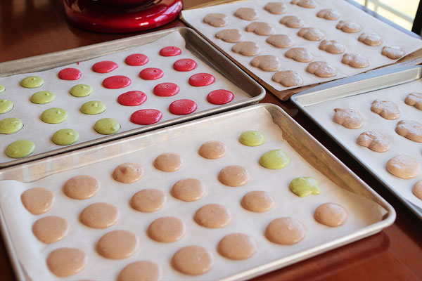 Thanksgiving Themed Holiday Macarons: Caramel Apple Macarons, Chocolate Acorns, and Chocolate Peanut Butter Candy Corn Turkeys