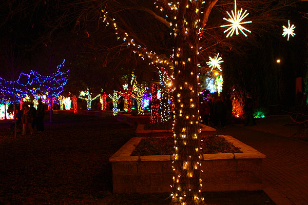 Holiday River of Lights in Albuquerque, New Mexico