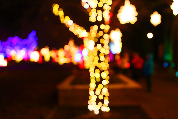 Holiday River of Lights in Albuquerque, New Mexico