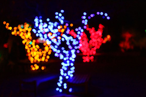 Holiday River of Lights in Albuquerque, New Mexico