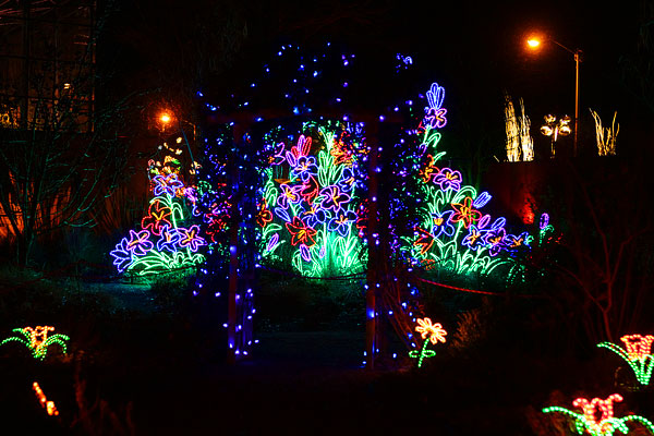 Holiday River of Lights in Albuquerque, New Mexico