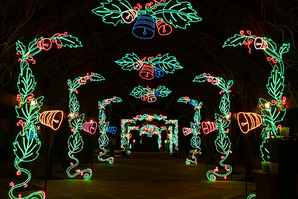 Holiday River of Lights in Albuquerque, New Mexico