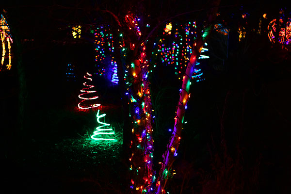 Holiday River of Lights in Albuquerque, New Mexico