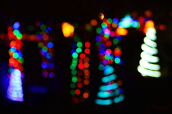 Holiday River of Lights in Albuquerque, New Mexico