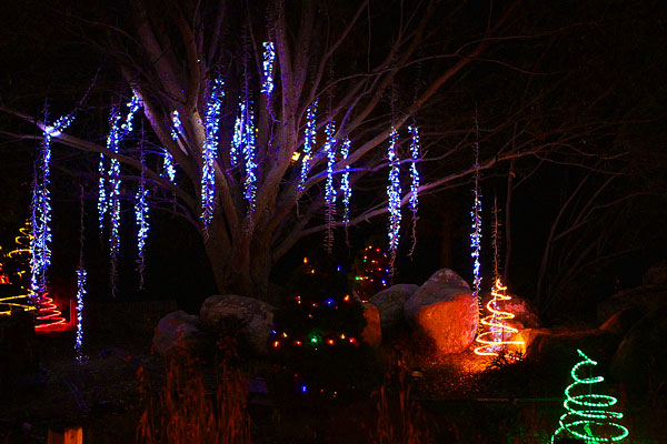 Holiday River of Lights in Albuquerque, New Mexico