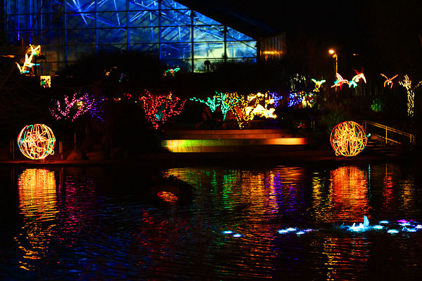 Holiday River of Lights in Albuquerque, New Mexico