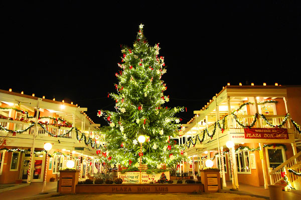 Holiday River of Lights in Albuquerque, New Mexico