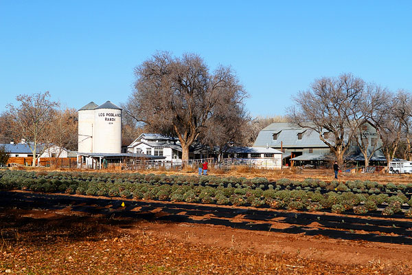 Los Poblanos Ranch | Albuquerque, New Mexico