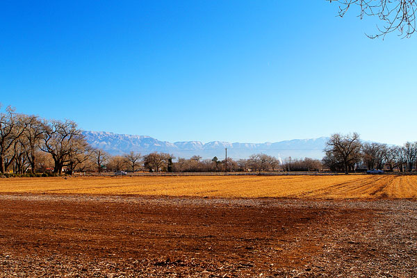 Los Poblanos Ranch | Albuquerque, New Mexico