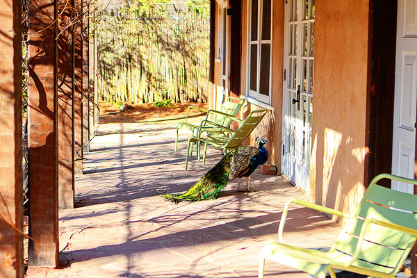 Los Poblanos Ranch | Albuquerque, New Mexico