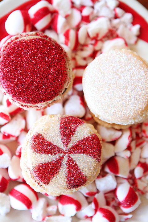 Sparkly Vanilla Bean Macarons with Three Christmas Inspired Frostings