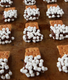 Image of S'mores Mini Dips
