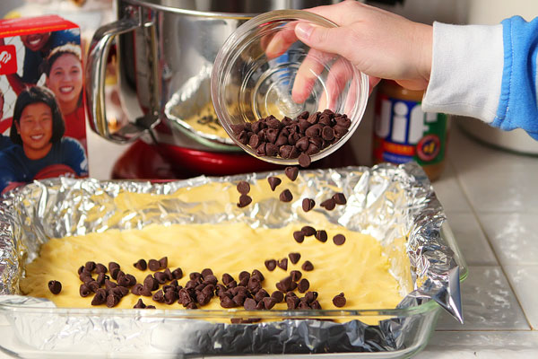 Girl Scout Cookie Tagalong Cake Bars