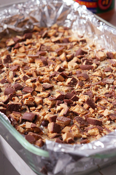 Girl Scout Cookie Tagalong Cake Bars