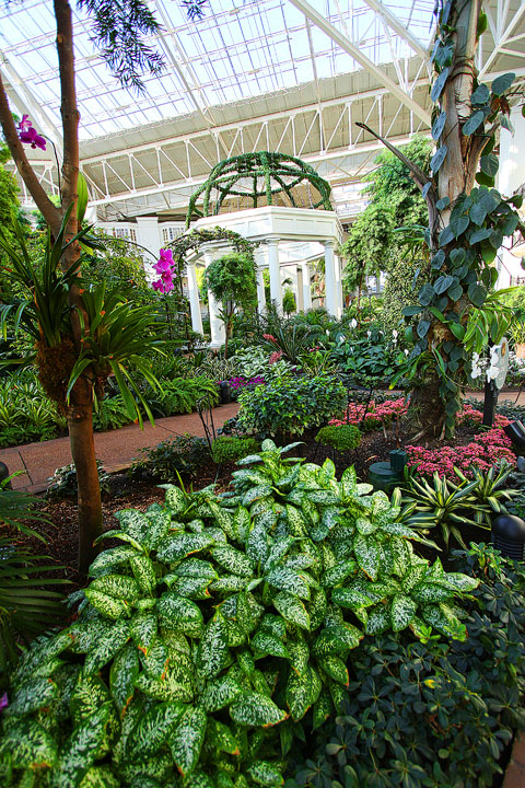 Gaylord Opryland Hotel Nashville