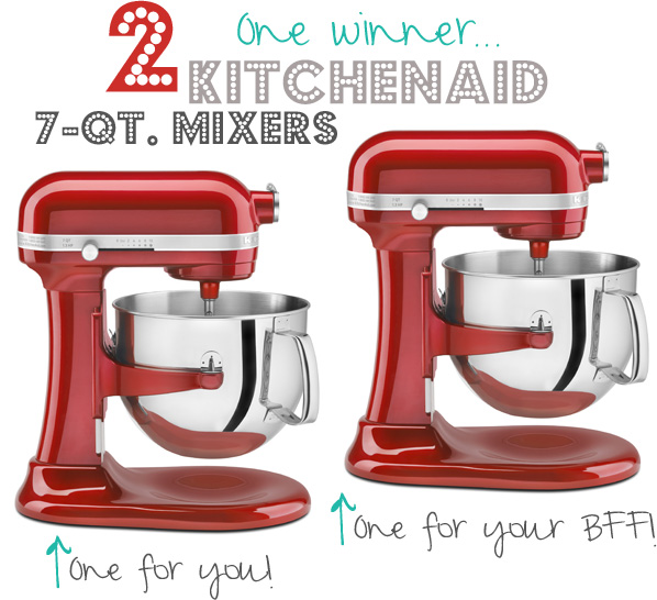 Food Processor Giveaway (Winners!)