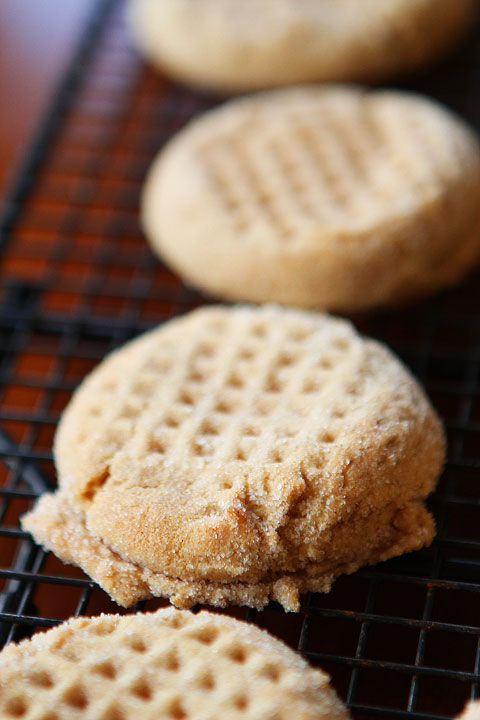 Easy Peanut Butter Cookies Recipe