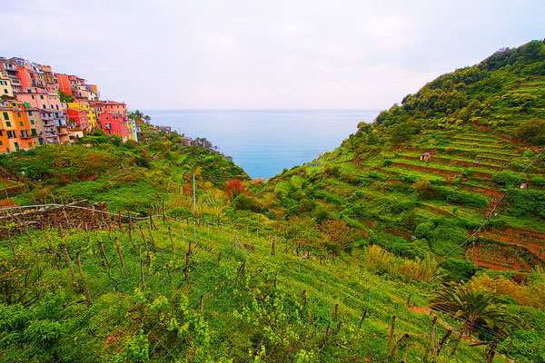 Cinque Terre Italy