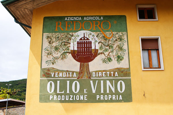 Redoro Olive Oil Orchard and Vineyard in Verona Italy