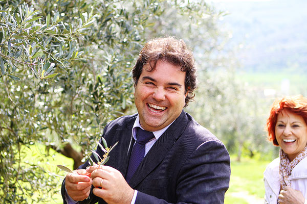 Redoro Olive Oil Orchard and Vineyard in Verona Italy