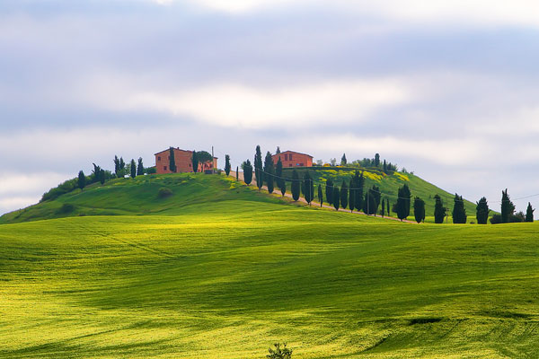 Guide to the Perfect Tuscany Road Trip