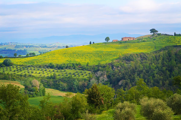 Guide to the Perfect Tuscany Road Trip