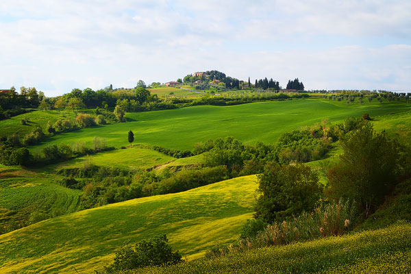 Guide to the Perfect Tuscany Road Trip