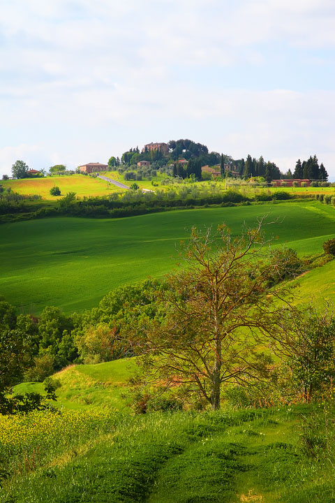 Guide to the Perfect Tuscany Road Trip