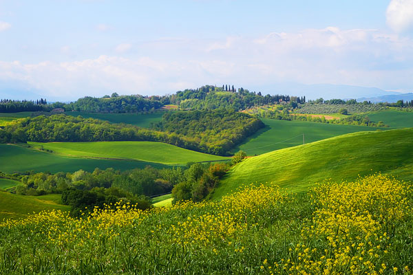 Guide to the Perfect Tuscany Road Trip