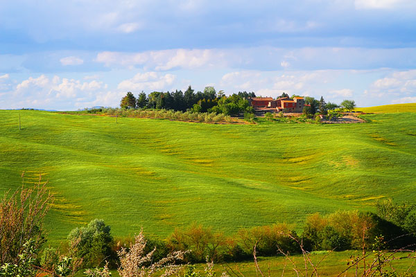 Guide to the Perfect Tuscany Road Trip