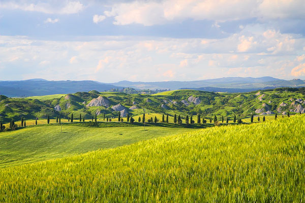 Guide to the Perfect Tuscany Road Trip