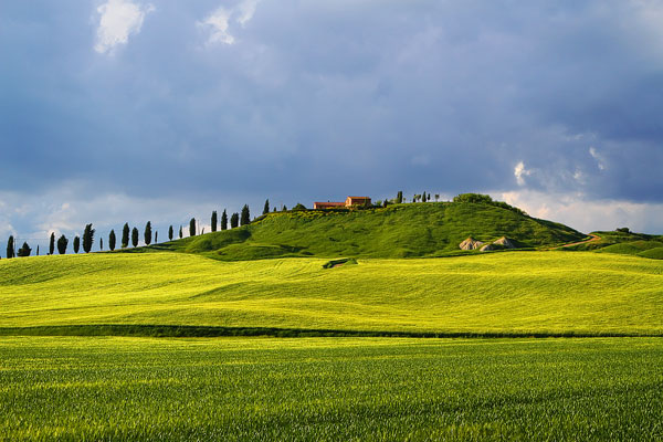 Guide to the Perfect Tuscany Road Trip