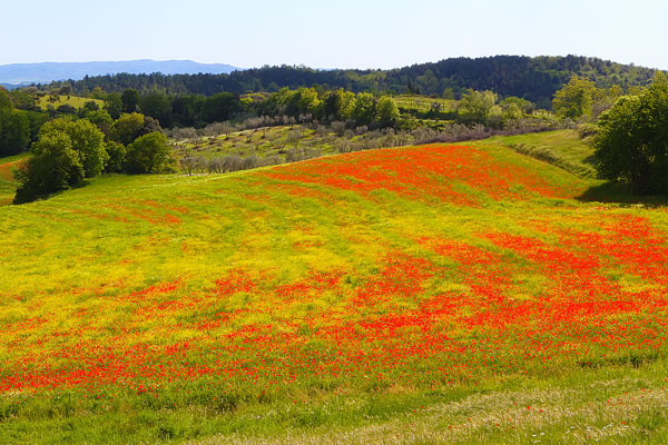 Tuscany