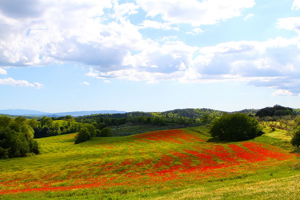 Tuscany