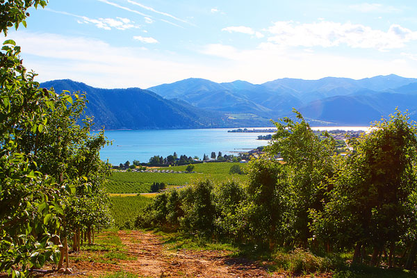 Benson Vineyards on Lake Chelan, Washington State