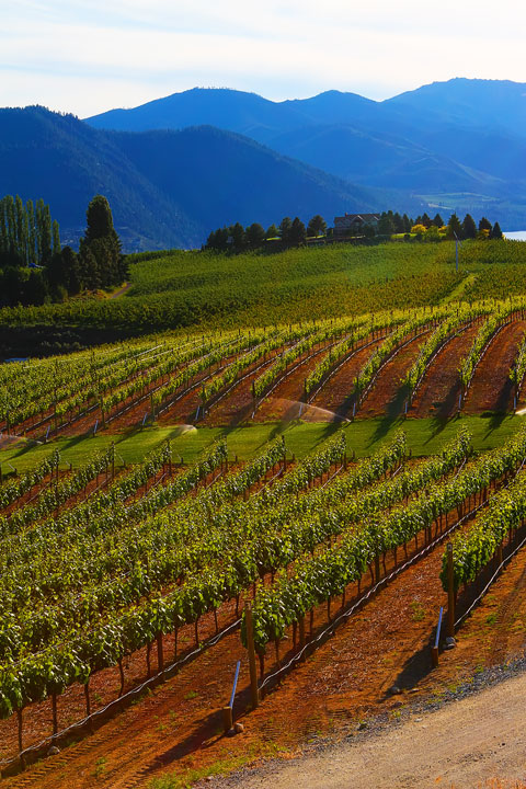 Benson Vineyards on Lake Chelan, Washington State