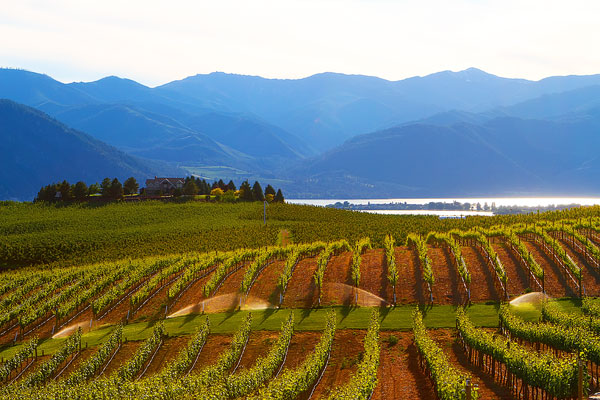 Benson Vineyards on Lake Chelan, Washington State