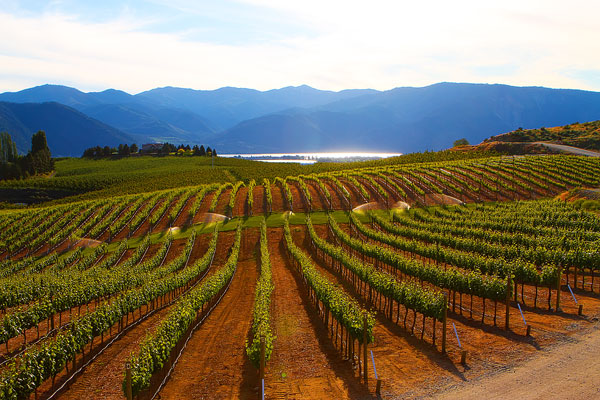 Benson Vineyards on Lake Chelan, Washington State