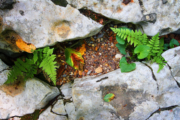 Walls of Jericho Hiking Trail, Alabama