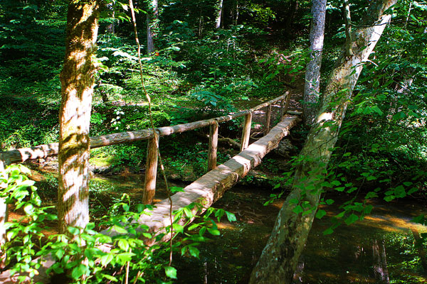 Walls of Jericho Hiking Trail, Alabama