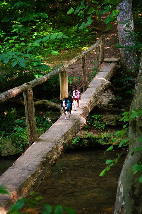 Walls of Jericho Hiking Trail, Alabama