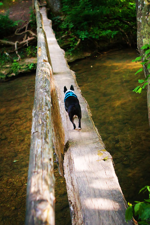 Walls of Jericho Hiking Trail, Alabama