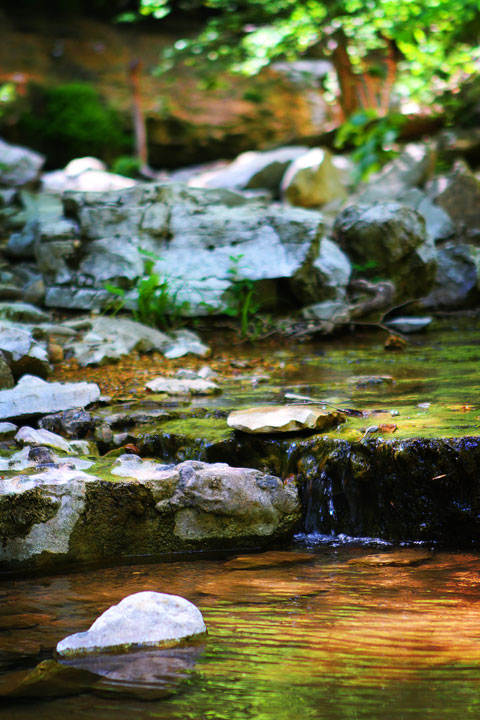 Walls of Jericho Hiking Trail, Alabama